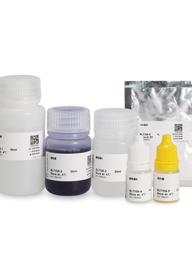 Biosharp   Transwell 染色试剂盒   BL710A  20T