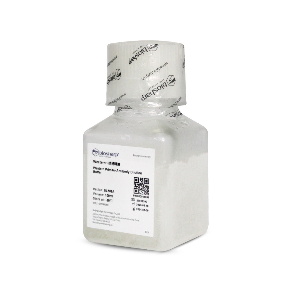 Western一抗稀释液BL506A