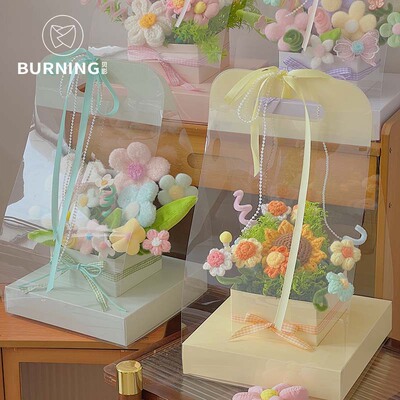 贝影pvc全景鲜花盒个装小绿植