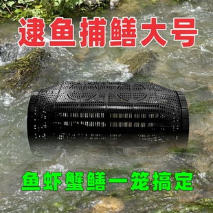 捕鱼网倒须笼新款捕鱼抓鱼笼塑料鱼双孔泥鳅黄鳝渔网螃蟹龙虾网笼