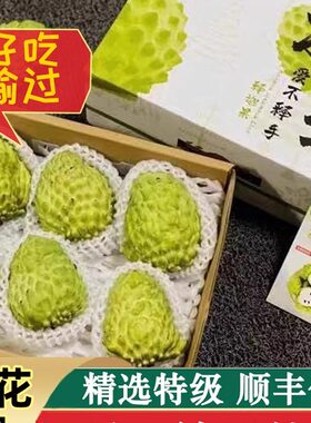 凤梨释迦新鲜现摘攀枝花释迦