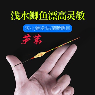 浅水芦苇短漂野钓鲫鱼冬钓鱼漂高灵敏白条轻口小鱼漂冰钓草洞加粗