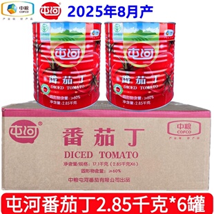 中粮屯河番茄丁2.85千克*6罐装去皮番茄新疆西红柿块罐头烹饪商用