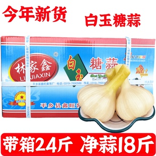 白玉糖蒜净蒜约18斤羊肉泡馍馆火锅咸菜下饭菜糖醋蒜 酸甜脆口