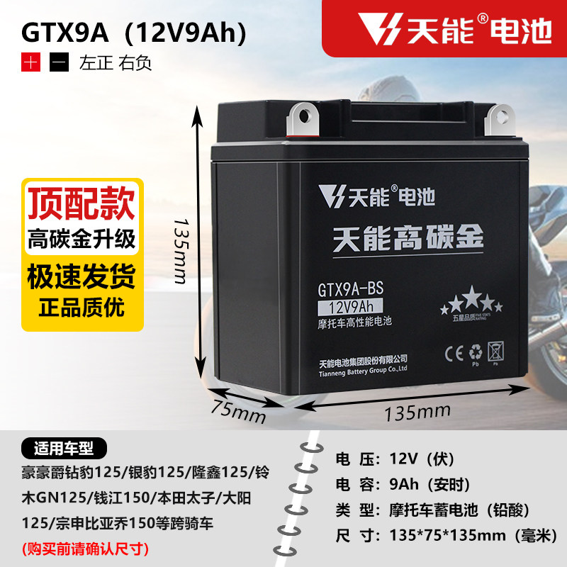 电池免维护摩托车电瓶12V9Ah太子跨骑车男士车男装车电池12N9-BS