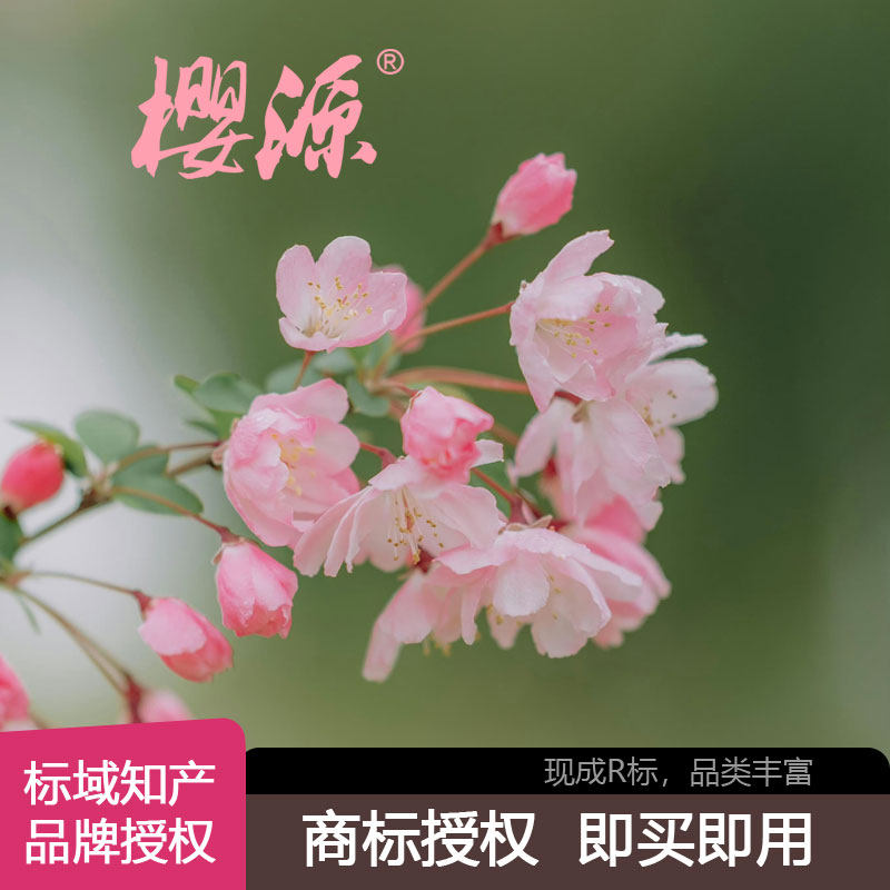 【樱源】1-45多类授权商标日化珠宝印刷教育图书乐器R标品牌租赁
