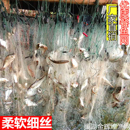 单层漂网沉网细丝网456789分眼小鱼网粘网1指白条丝网餐鱼网挂网