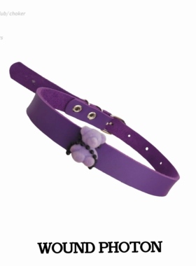 【禁锢小熊】SEXLESS小众项圈