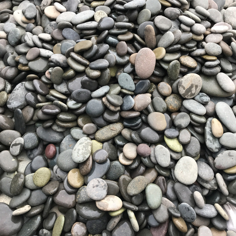 天然鹅卵石100斤扁平石头铺路园林鱼缸造景乌龟晒台雨花石鹅暖石