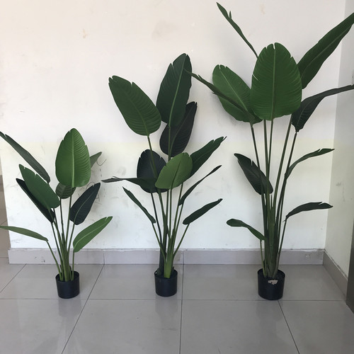 旅人蕉摆件室内花天堂鸟仿真植物