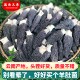 一斤精选羊肚菌干货羊肚菇野生500g云南蘑菇干品野生菌煲汤特产