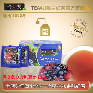 谛友森林水果味锡兰红茶Tea4U袋泡自制冰红茶奶茶ForestFruitTea
