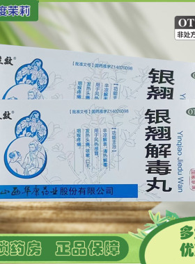 立效 银翘解毒丸 9g*10丸 清热解毒风热感冒发热头痛咽喉疼痛 GD