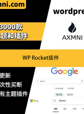 WP Rocket插件 WP网站加速插件 缓存加速 Wordpress网站加速 中文