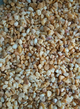 黄色石子米黄玉水洗石水磨铺面装饰庭院铺路泥土盖面多肉花盆花瓶