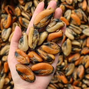 特大号淡菜干500g贻贝青口海虹干新鲜海鲜干货炖汤无沙淡菜仔海味