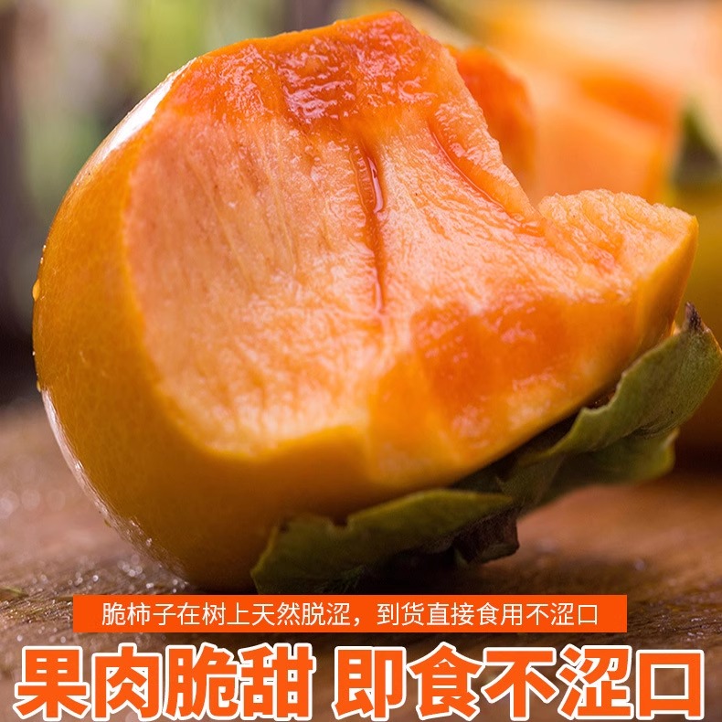 陕西阳丰脆柿子甜脆无涩甜柿当季脆甜硬柿子新鲜水果巧克力脆柿子