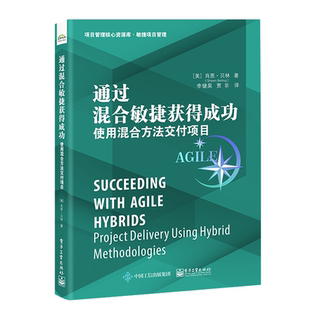 methodologies肖恩·贝林 通过混合敏捷获得 经济书籍 using project hybrid delivery 使用混合方法交付项目