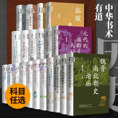 中华学术有道系列31种 从混沌到秩序 元代的族群文化与科举 八代诗史 玄学与魏晋士人心态 魏晋南北朝隋唐史三论 论丛 续编