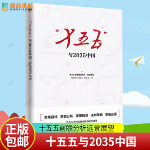 十五五与2035中国 清华大学国情研究院 十五五规划2035远景目标研究智库版用数据说话聚焦目标前瞻分析远景展望参考书籍