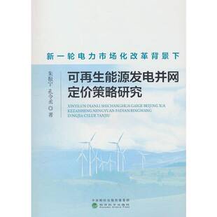 新一轮电力市场化改革背景下可再电并网定价策略研究朱振宁经济科学出版社9787521859829 经济书籍