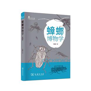 书店 正版 朱耀沂 蟑螂博物学 昆虫学书籍 包邮