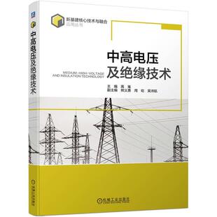 中高电压及绝缘技术 高嵬 新基建核心技术与融合应用丛书 高电压技术理论试验应用技术中高电压前沿技术中压岸电技术书籍