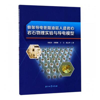 骨架导电低阻油层人造岩心岩石物理实验与导电模型宋延杰 油层岩芯分析岩石物理学工业技术书籍