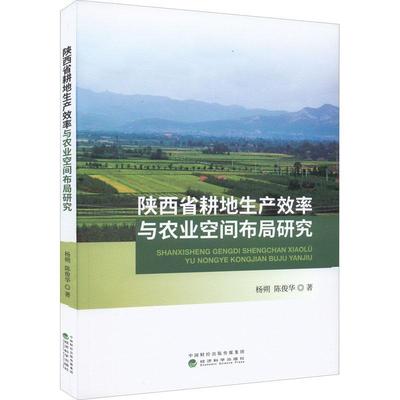 陕西省耕地生产效率与农业空间布局研究杨朔  农业、林业书籍