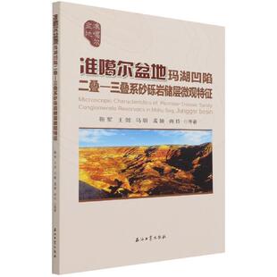 准噶尔盆地玛湖凹陷二叠—三叠系砂砾岩储层微观特征靳军本科及以上准噶尔盆地二叠纪砂岩油气田储集自然科学书籍