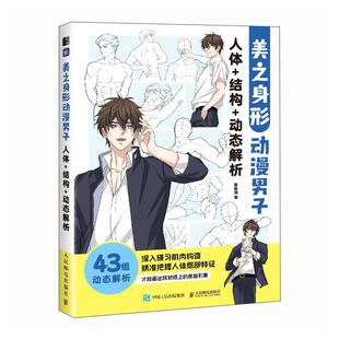 美之身形 动漫男子人体+结构+动态解析猫 艺术书籍