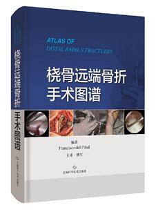 桡骨远端骨折手术图谱  医药卫生书籍