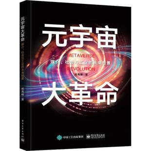 未来图景杨青峰 社会与工业 经济书籍 宇宙大——媒介 元