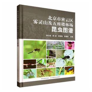 北京市密云区雾灵山及五座楼林场昆虫图谱梁红斌中国农业出版社9787109335684 图书书籍