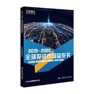 2019 2020全球投资市场蓝皮书金融研究院 经济书籍