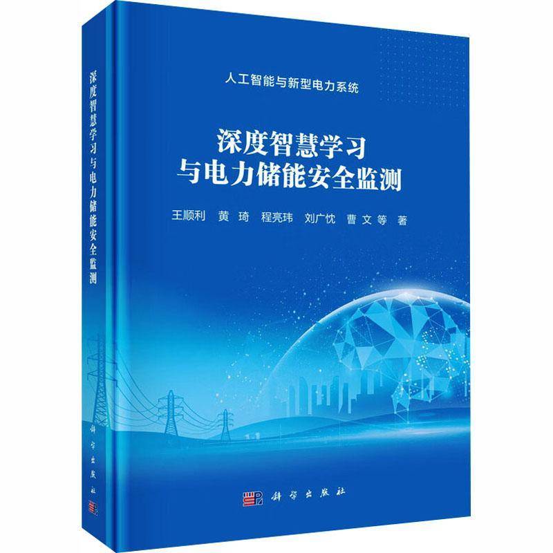深度智慧学习与电力储能监测王顺利等科学出版社9787030830685 图书书籍