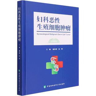 妇科恶生殖细胞杨佳欣沈铿 医药卫生书籍