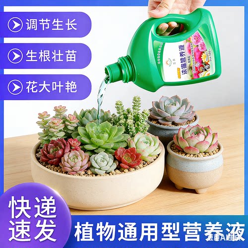 正禾超浓缩通用植物营养液