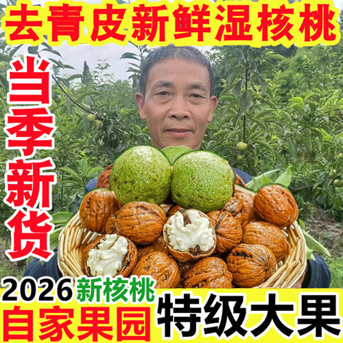 四川新鲜湿核桃大凉山香甜薄皮
