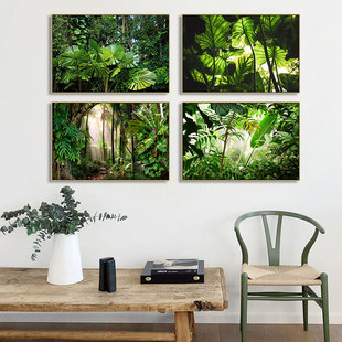 热带雨林植物装饰画餐厅森林风景绿色生机挂画客厅小清新绿色壁画