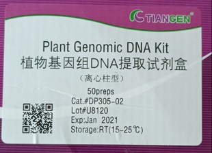 天根  植物基因组DNA提取试剂盒   50次