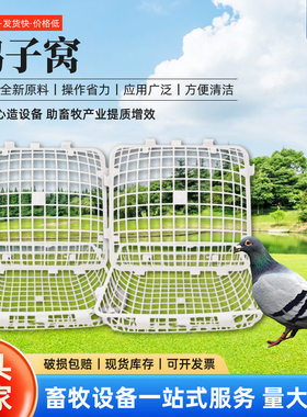 批发鸽子白圆窝加厚蛋窝批发鸽笼配件塑料方形鸽子窝带扣鸽用巢盆