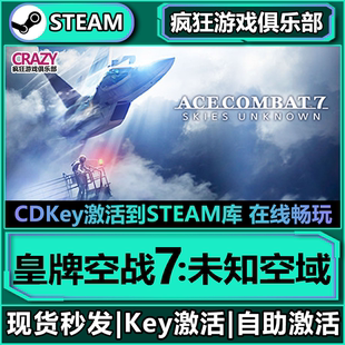 激活码 未知空域 CDKey入库全DLC飞行模拟游戏 皇牌空战7 Steam正版