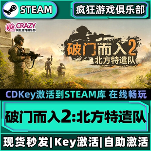 Steam正版破门而入2北方特遣队激活码CDKey入库全DLC即时战术游戏