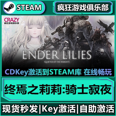 Steam正版终焉之莉莉骑士寂夜CDK