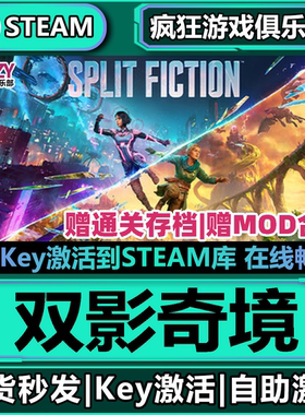 Steam正版双影奇境激活码CDKey入库全球国区 Split Fiction 游戏