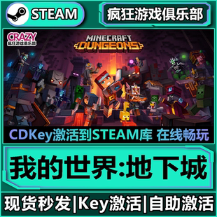 Steam正版我的世界:地下城 激活码CDKey入库 DLC动作角色扮演游戏