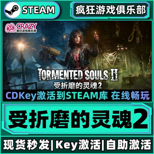 Steam正版受折磨的灵魂2 激活码CDKey入库 全DLC第三人称射击游戏