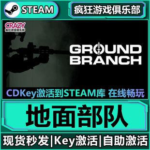Steam正版地面部队 激活码CDKey入库 GROUND BRANCH全DLC射击游戏