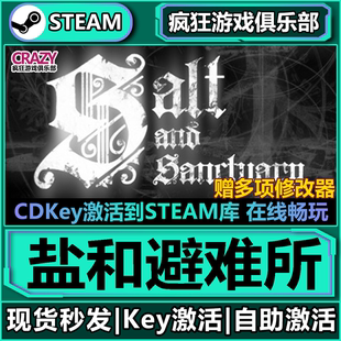 入庫(kù) Sanctuary 全DLC游戲 Steam正版 激活碼 and 鹽和避難所 Salt